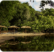 Natureza